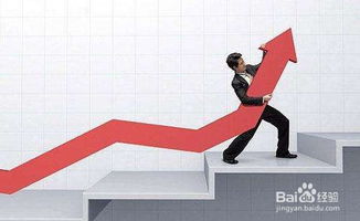 法律咨询公司如何发展