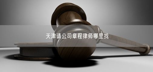 天津公司章程律师与法律咨询服务指南
